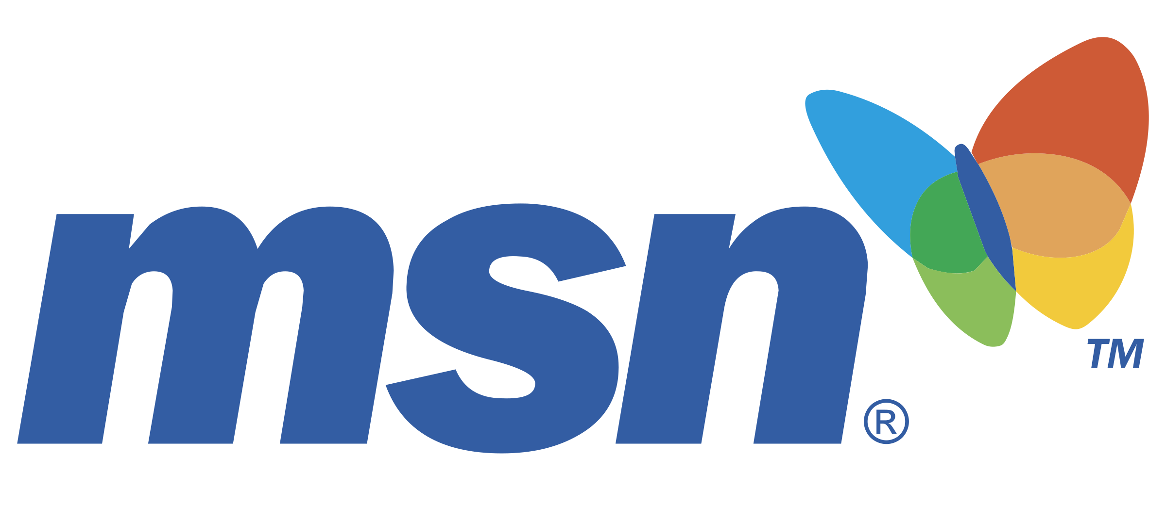 msn logo