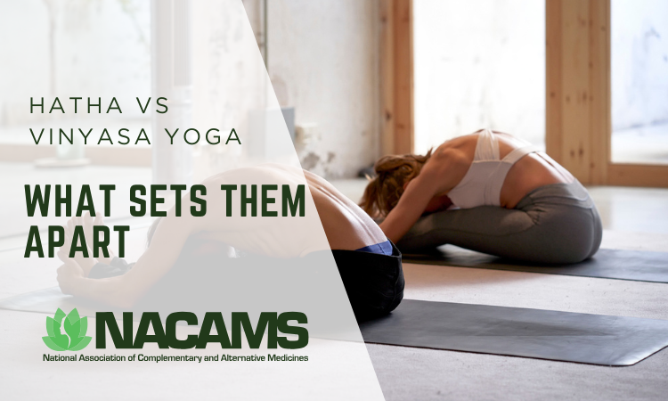 Hatha vs Vinyasa Yoga: What Sets Them Apart